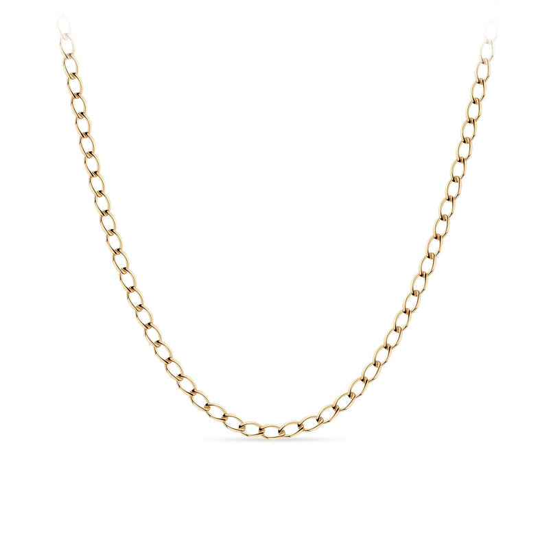 9ct Yellow Gold Curb Pattern Parrot Clasp Chain Necklace - Wallace Bishop