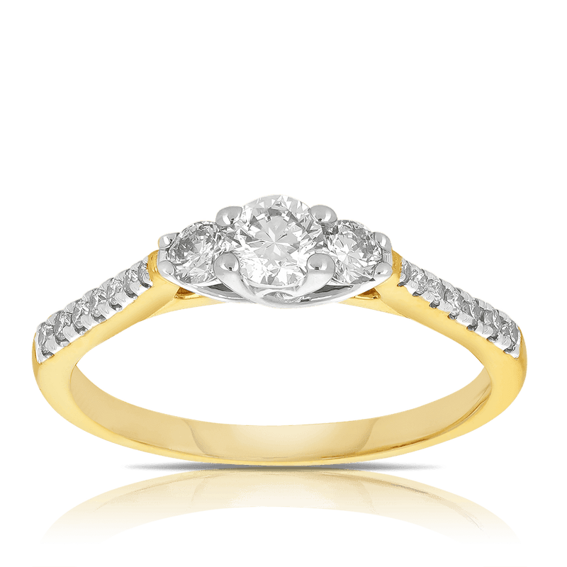 0.50ct TW Diamond Three Stone Engagement Ring in 9ct Yellow & White Gold - Wallace Bishop