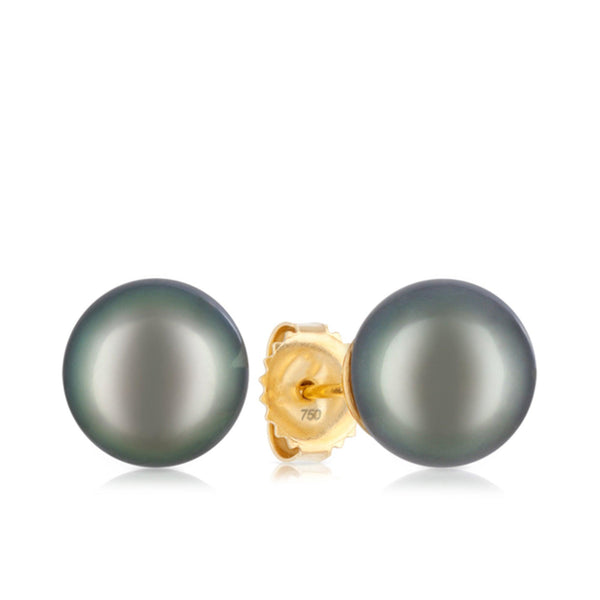 Tahitian Pearl Stud Earrings in 18ct Yellow Gold - Wallace Bishop
