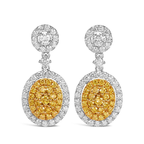 Yellow Diamond Round Brilliant Cut Earrings in 18ct Yellow and White Gold - Wallace Bishop