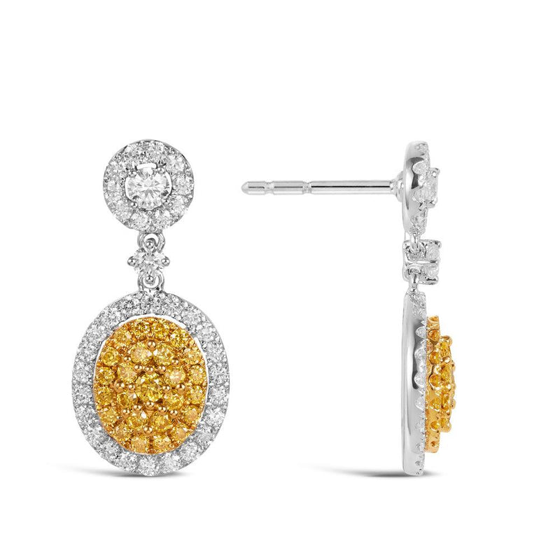 Yellow Diamond Round Brilliant Cut Earrings in 18ct Yellow and White Gold - Wallace Bishop